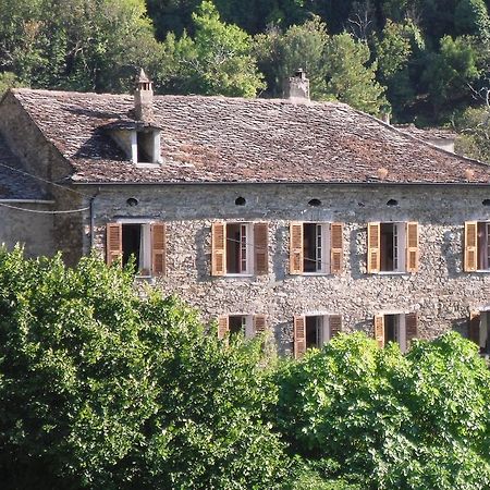 Chambre D'Hotes La Marlotte Castello-di-Rostino Zewnętrze zdjęcie