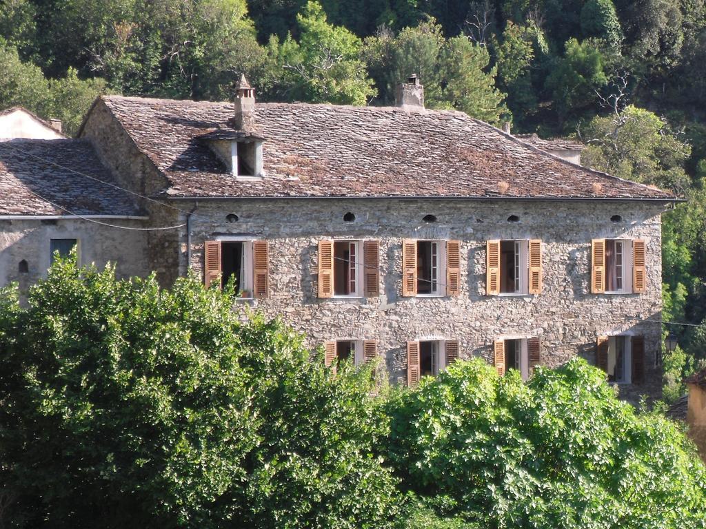 Chambre D'Hotes La Marlotte Castello-di-Rostino Zewnętrze zdjęcie