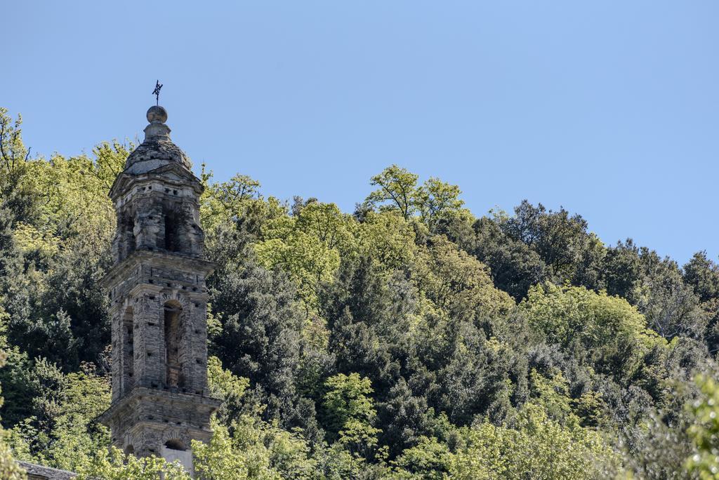 Chambre D'Hotes La Marlotte Castello-di-Rostino Zewnętrze zdjęcie