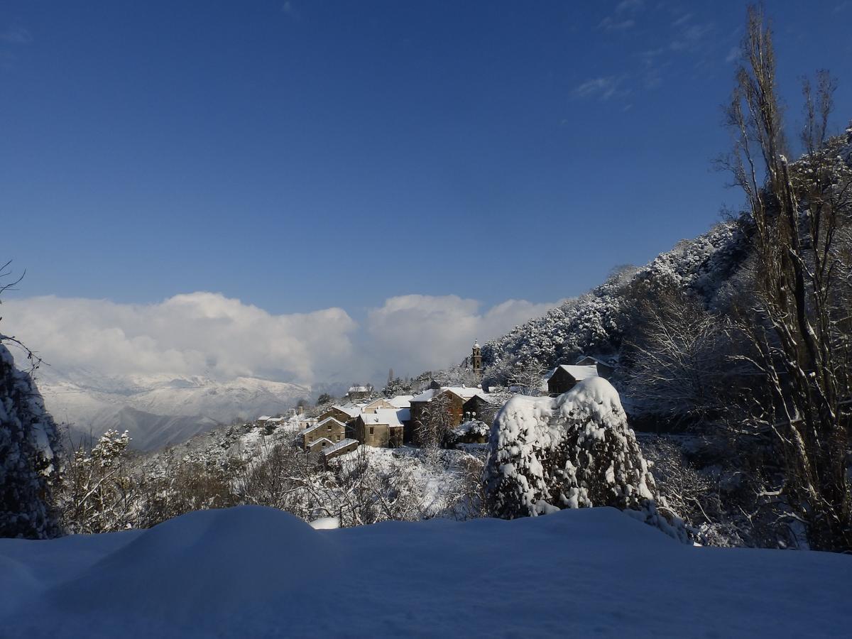 Chambre D'Hotes La Marlotte Castello-di-Rostino Zewnętrze zdjęcie